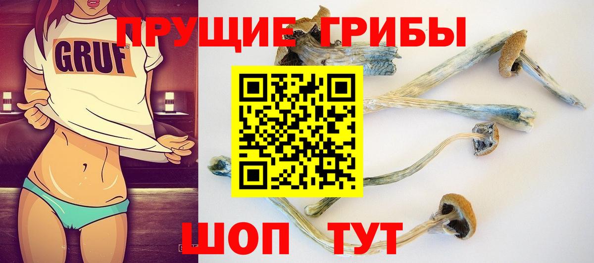 Псилоцибиновые грибы Psilocybine cubensis  Вход с VPN  Галлюциногенные грибы мухоморы  Красноармейск 